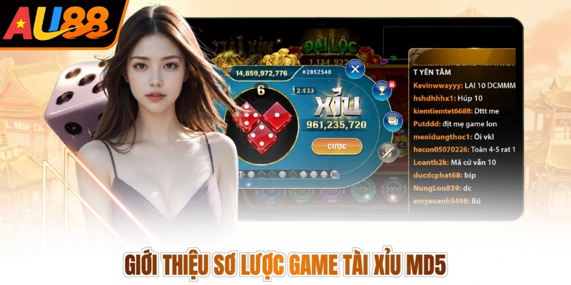 Giới thiệu sơ lược game tài xỉu MD5