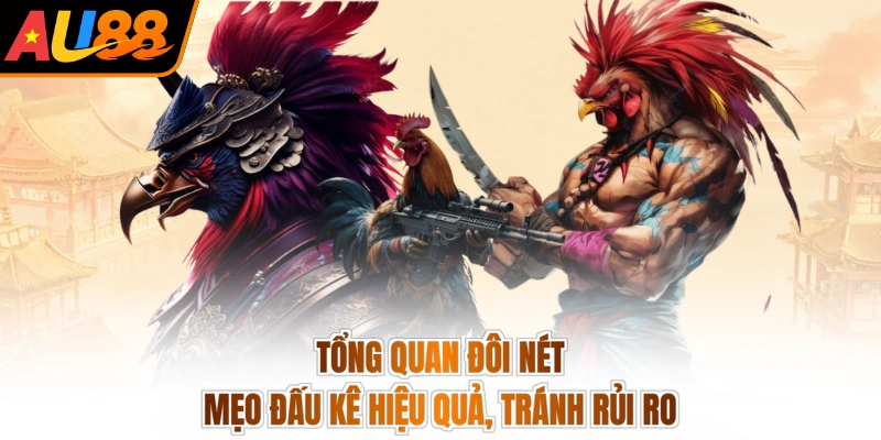 Tổng quan đôi nét mẹo đấu kê hiệu quả, tránh rủi ro
